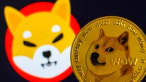 Shiba Inu en hausse de 30% contre le Dogecoin sur fond de nouvelles de Shibarium