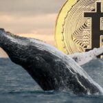 baleine bitcoin