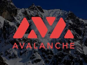 Comment un développeur a sauvé Avalanche d’une “mort instantanée” de 24 milliards de dollars !