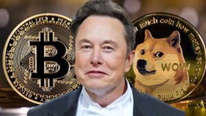 Elon Musk : “Ne misez pas sur le Dogecoin” !