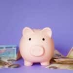 piggy bank. deposits and bank accounts for saving money euro