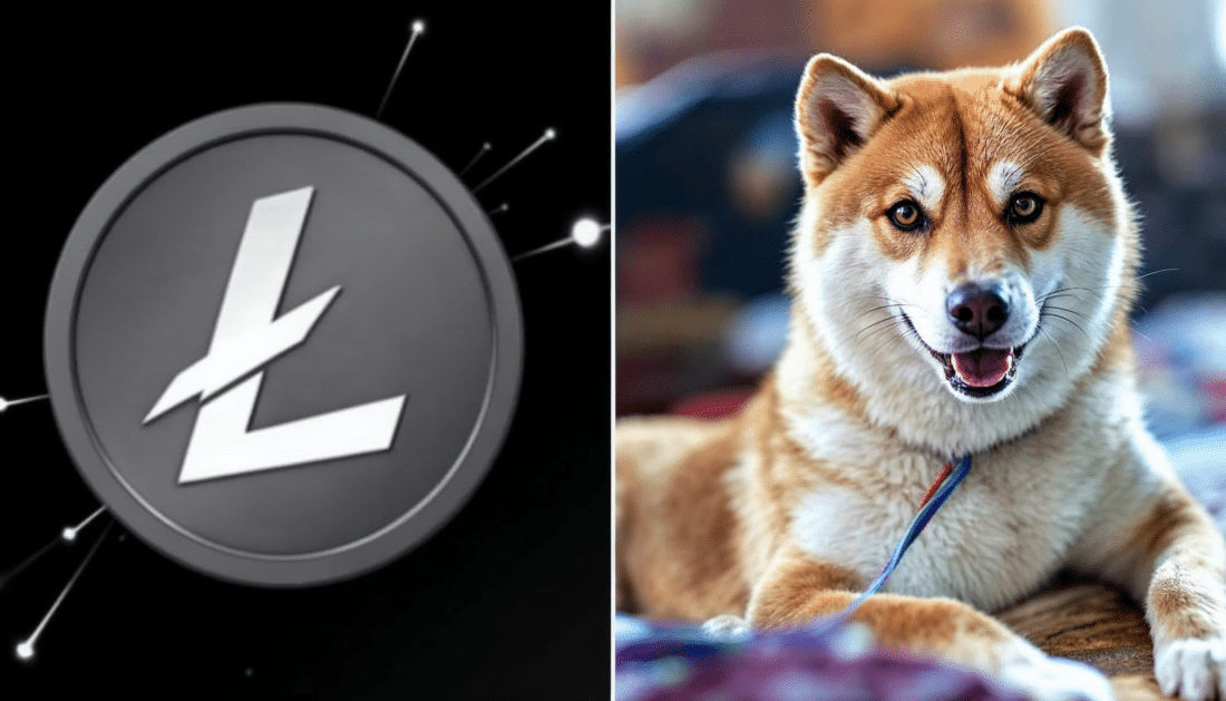 cryptomonnaies secoué par le rebranding de litecoin