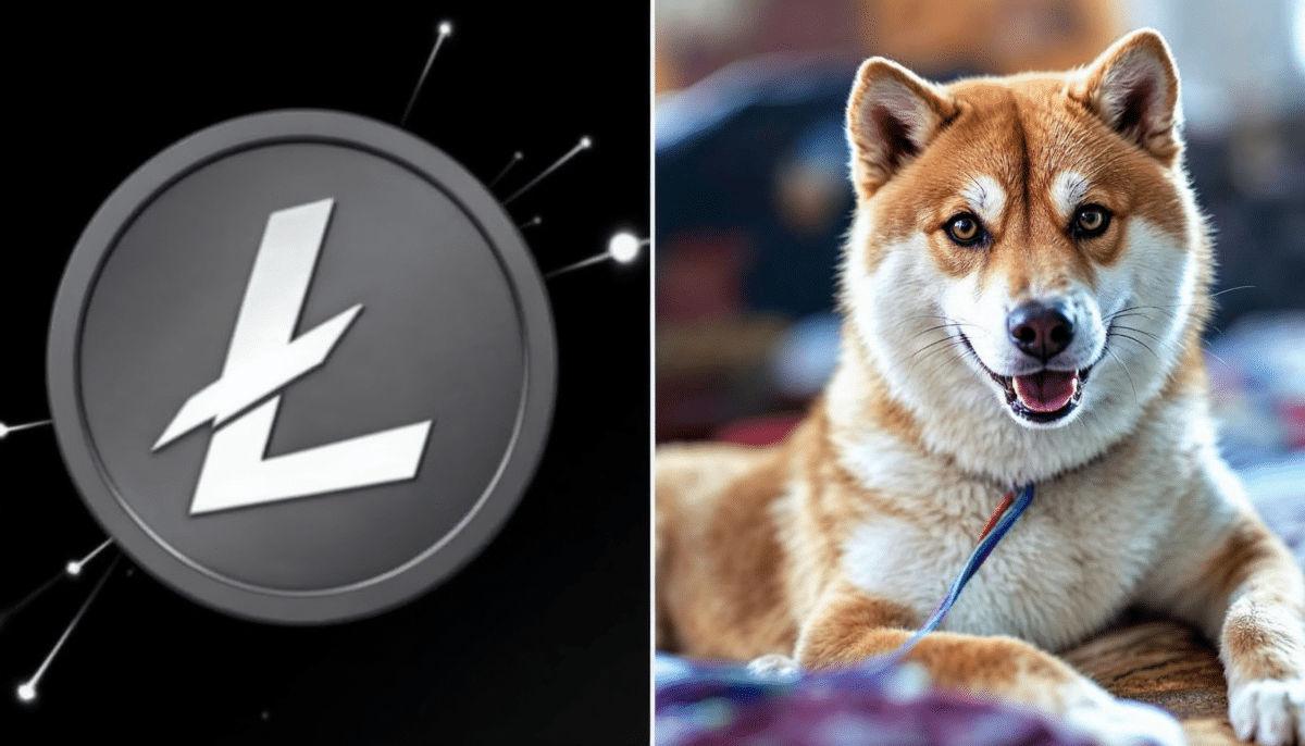 Cryptomonnaies secoué par le rebranding de litecoin en pièce de mème