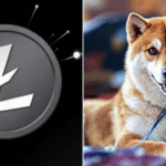 cryptomonnaies secoué par le rebranding de litecoin