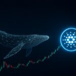 Une illustration d'une "baleine" crypto accumulant des tokens Cardano (ADA), symbolisant les achats massifs.
