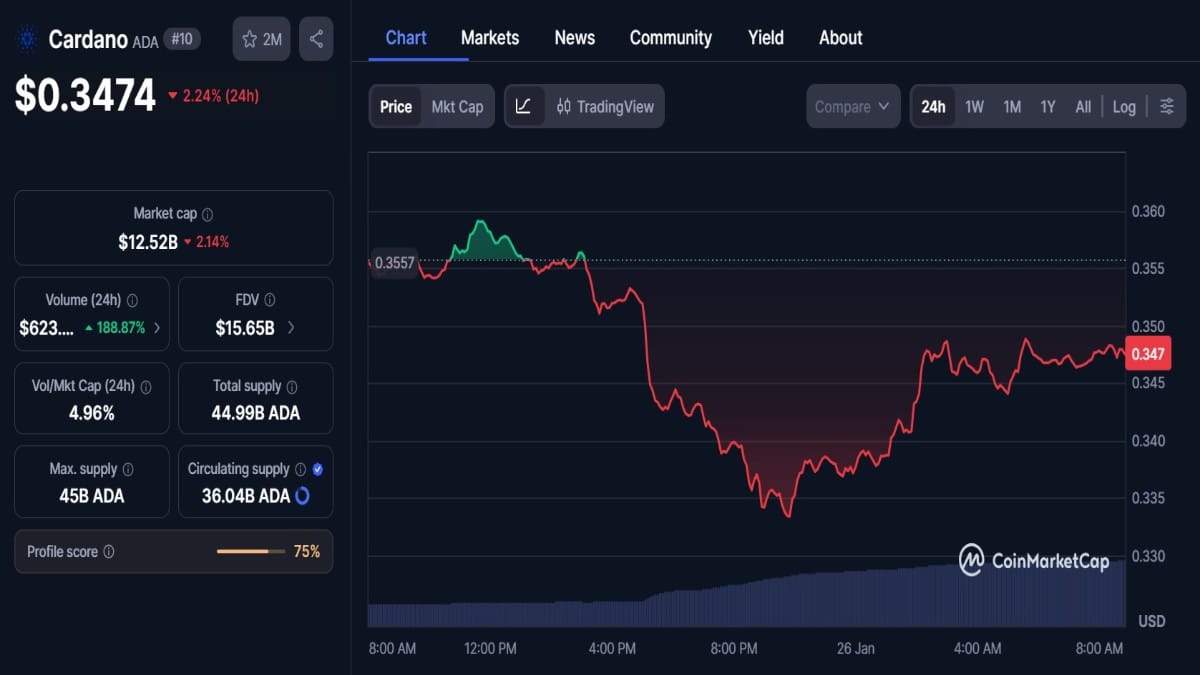 Cardano (ADA) : chute de 15 %, zone de demande sous pression | ActuCrypto  .info
