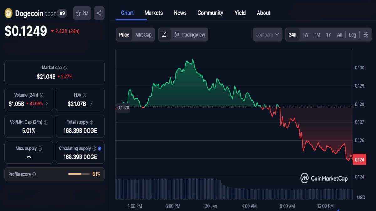 Graphique du cours Dogecoin en chute