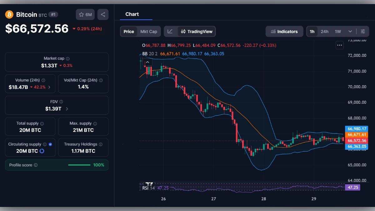 Graphique du prix du Bitcoin BTC à 66 572 dollars avec indicateurs techniques