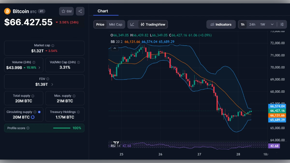 Graphique du prix du Bitcoin à 66 427 dollars avec indicateurs techniques et données de marché