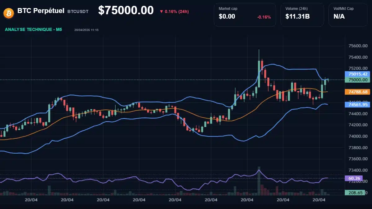 Graphique du cours BTC Perpétuel à 75000 Analyse technique du cours de BTC Perpétuel de btcusdt à 75000 $ aujourd'hui