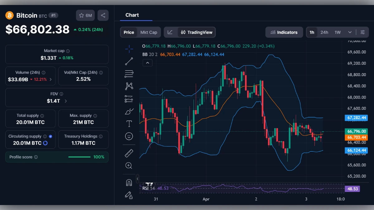 Graphique en chandeliers du Bitcoin affichant un prix de 66 802 dollars avec indicateurs techniques