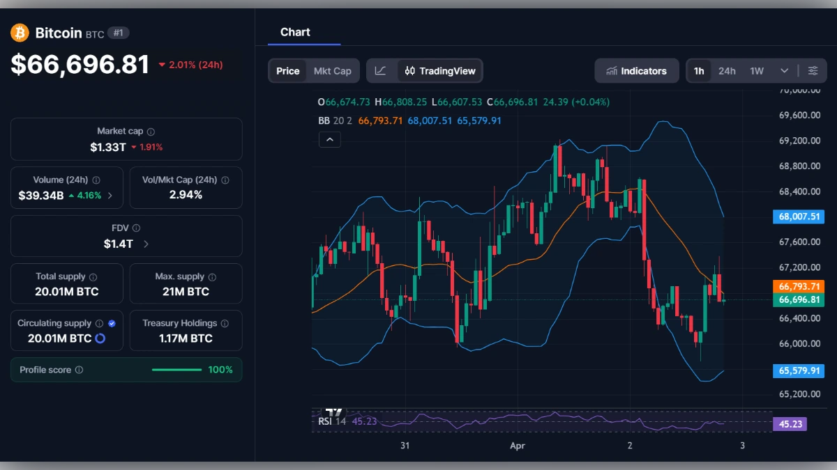 Graphique du prix du Bitcoin BTC à 66 696 dollars avec indicateurs de trading