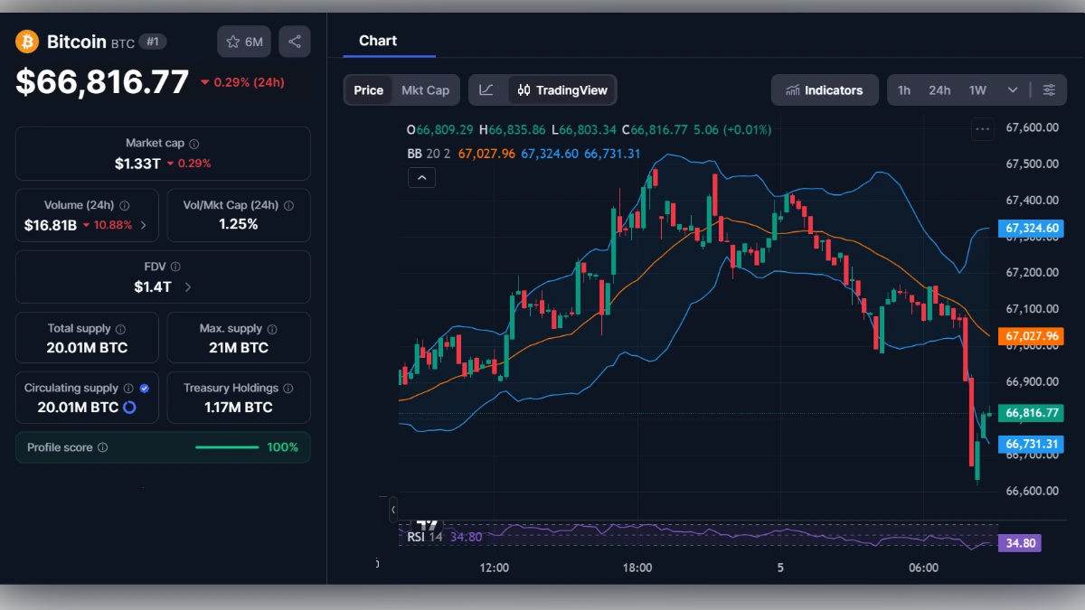 Graphique de trading du Bitcoin affichant un prix de 66 816 dollars avec indicateurs techniques et capitalisation boursière