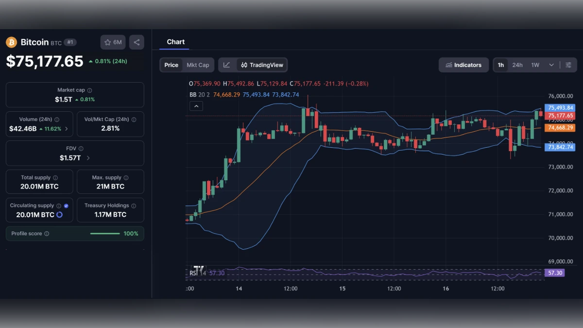 Graphique de trading du Bitcoin affichant un prix de 75 177 dollars avec indicateurs techniques et capitalisation boursière