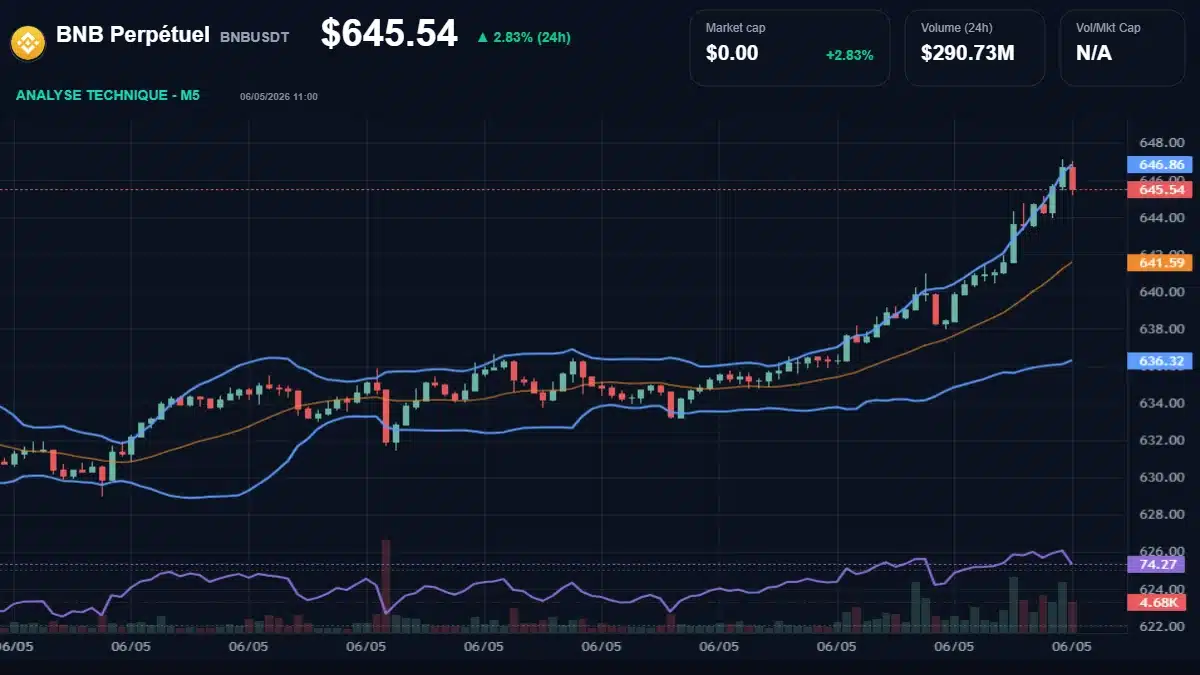 Graphique du cours BNB Perpétuel à 646 $ Analyse technique du cours de BNB Perpétuel de binancecoin à 646 $ aujourd'hui